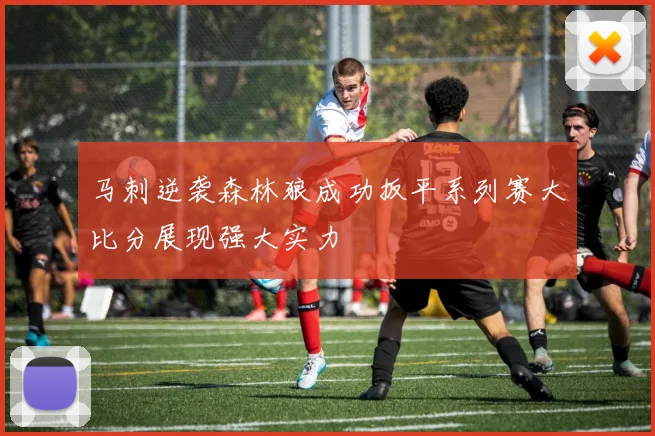 马刺逆袭森林狼成功扳平系列赛大比分展现强大实力